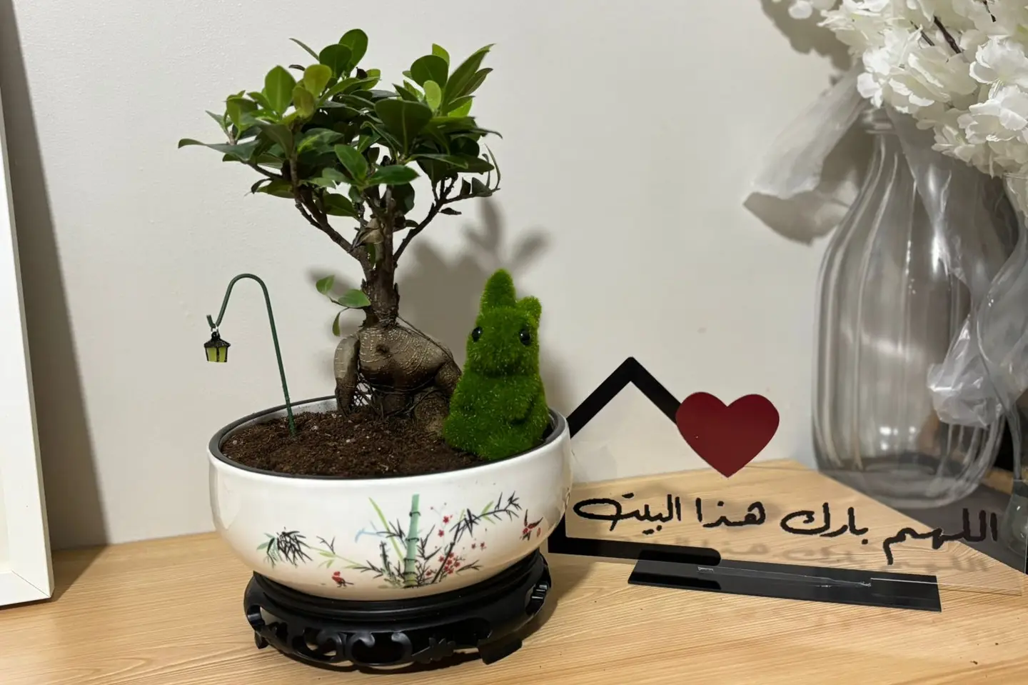 نبتة بونساي أنيقة