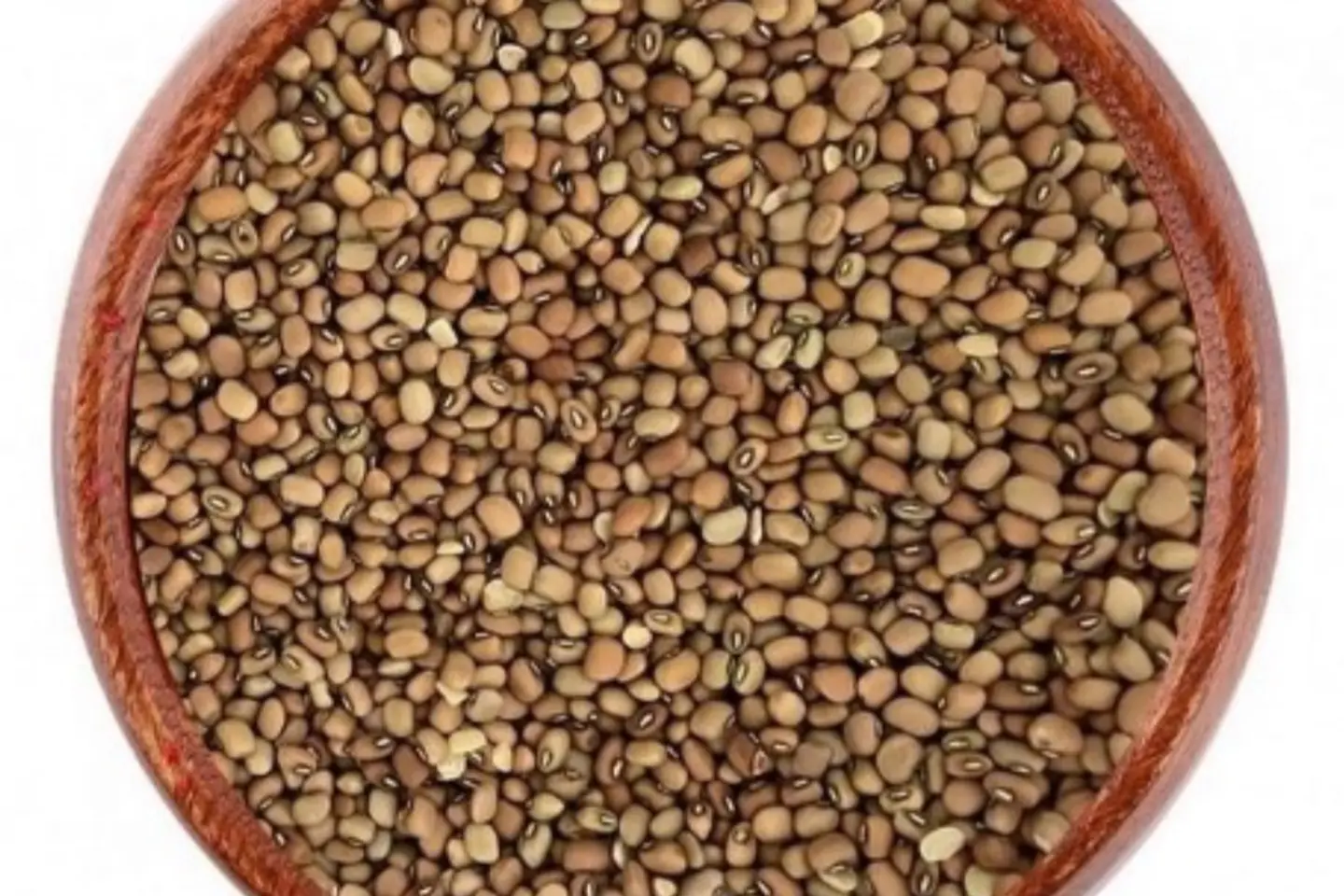 لوبيا بني حبه صغيره كيلو
