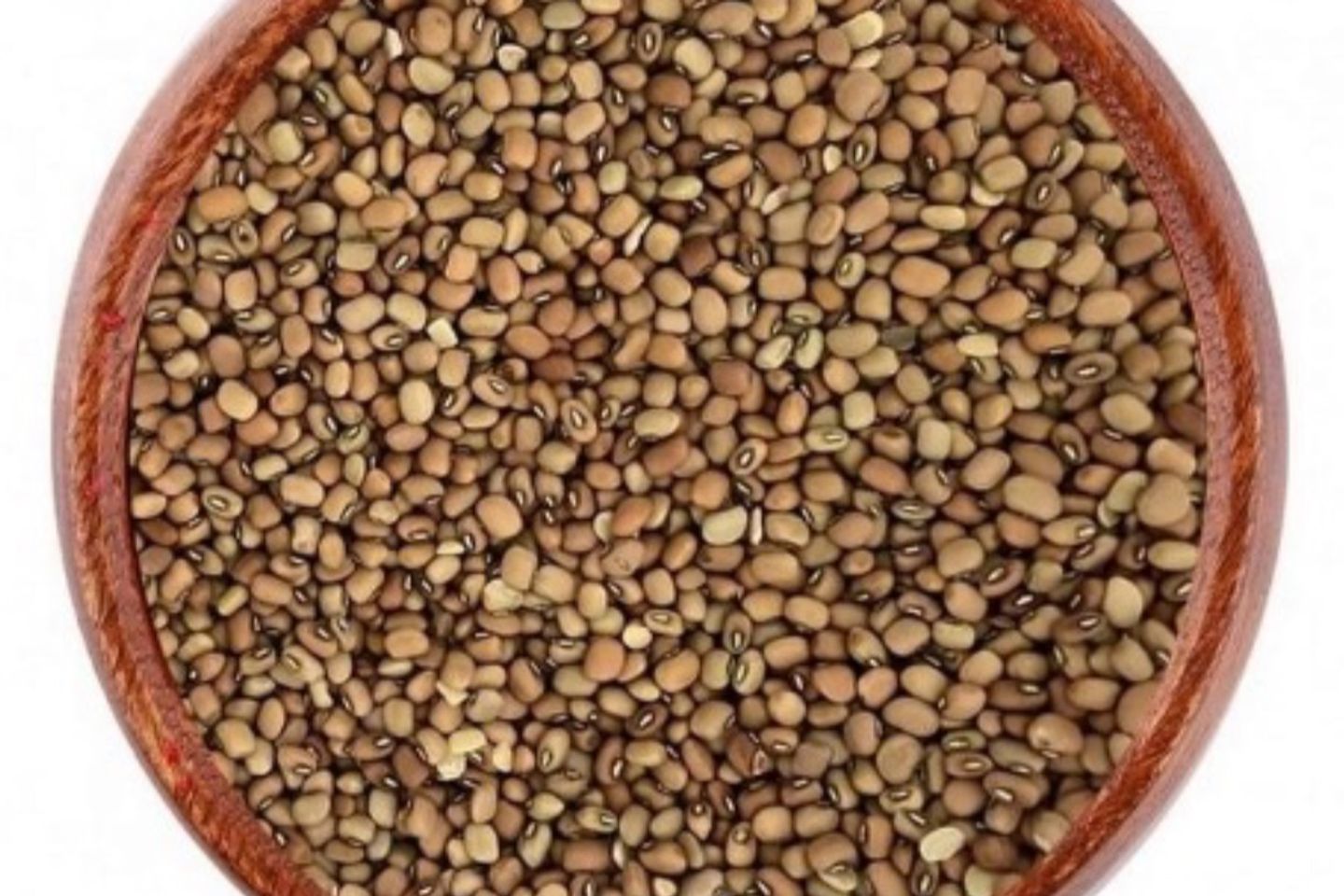 لوبيا بني حبه صغيره كيلو