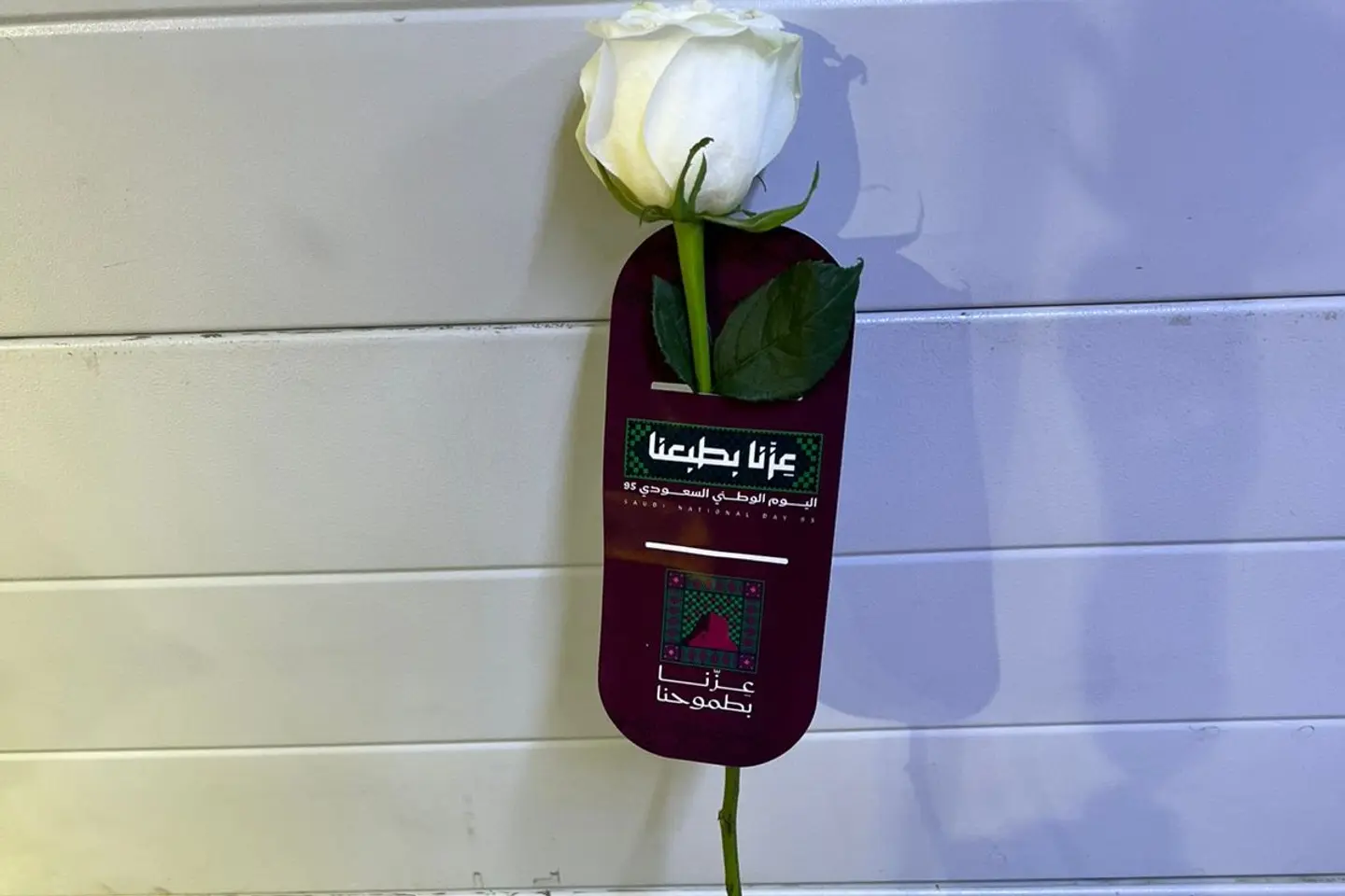 توزيعات ورد٠١