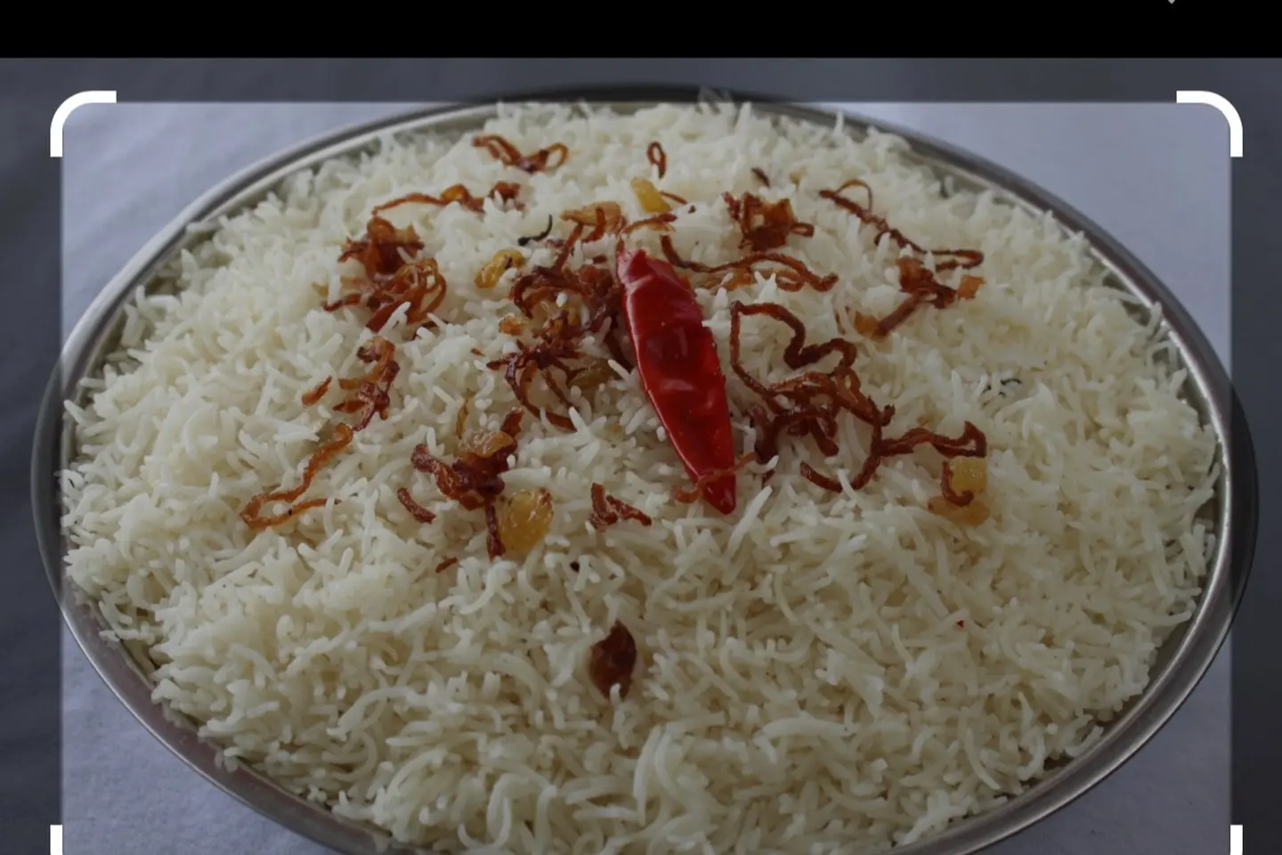 رز ساده رز بشاور الحال