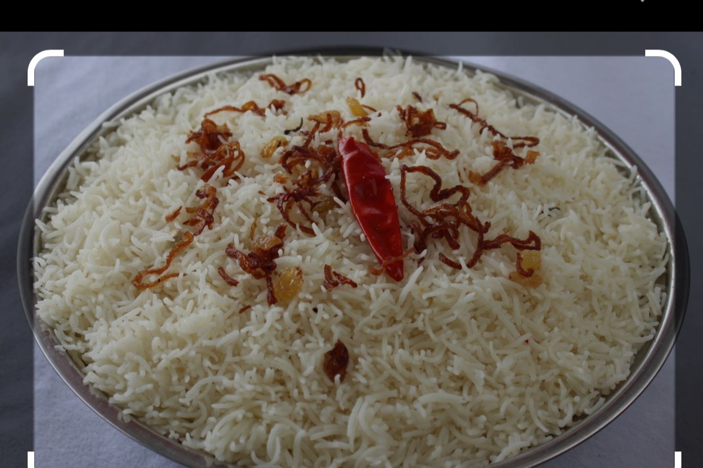رز ساده رز بشاور الحال