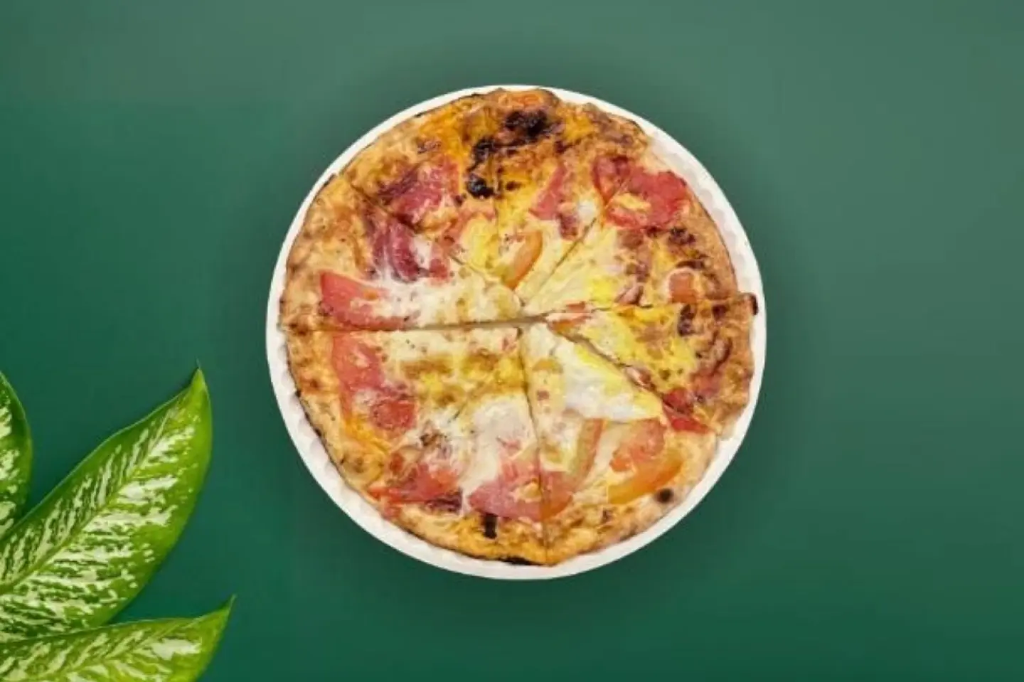 Cheese With Tomatoe