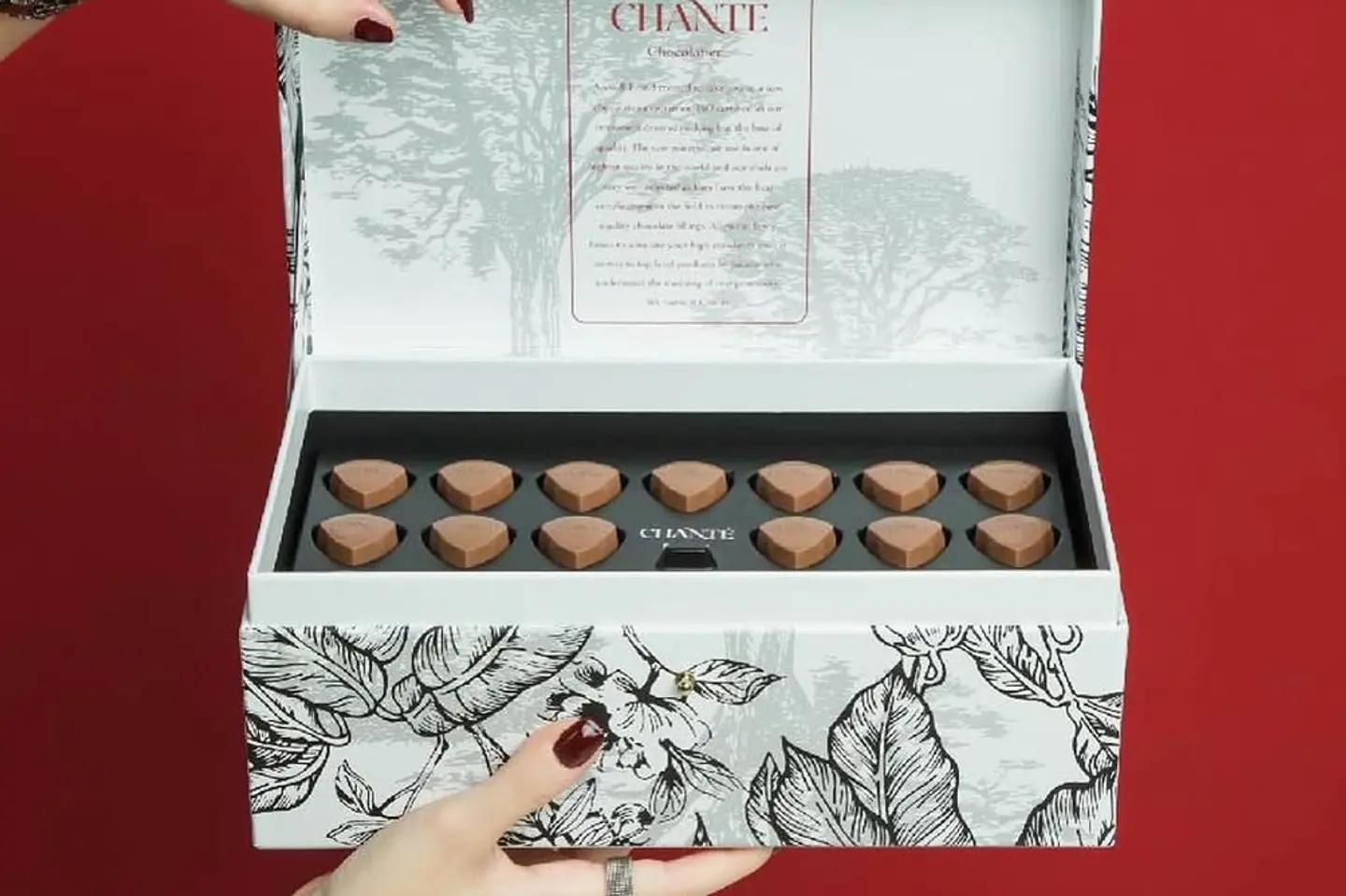 سوليتر شانتيه