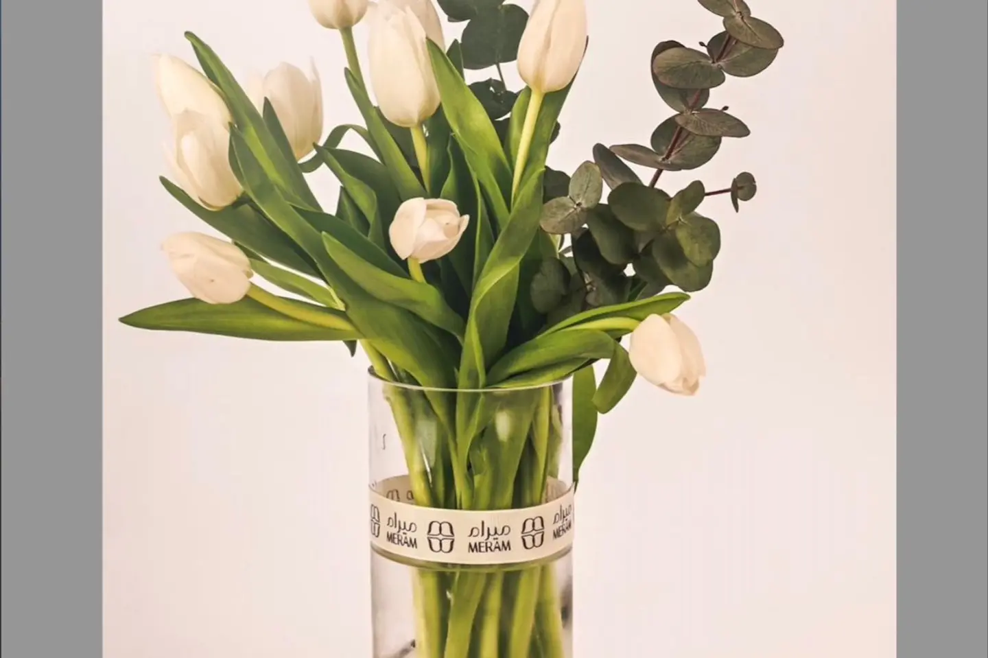 Vasa Tulip