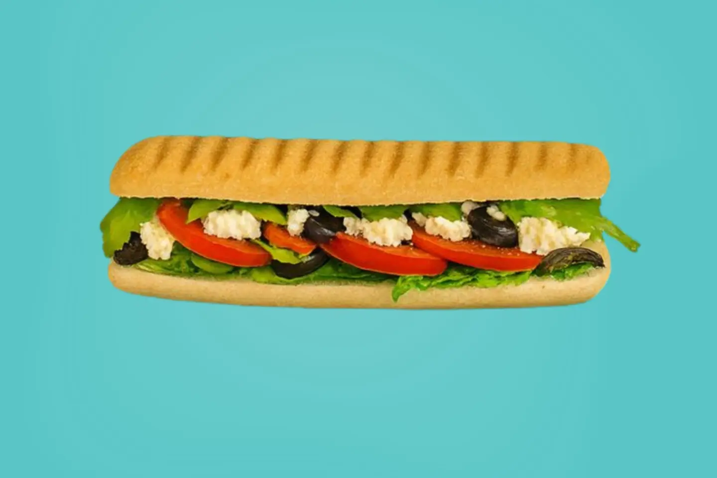 Akkawi Cheese Sandwich Meal