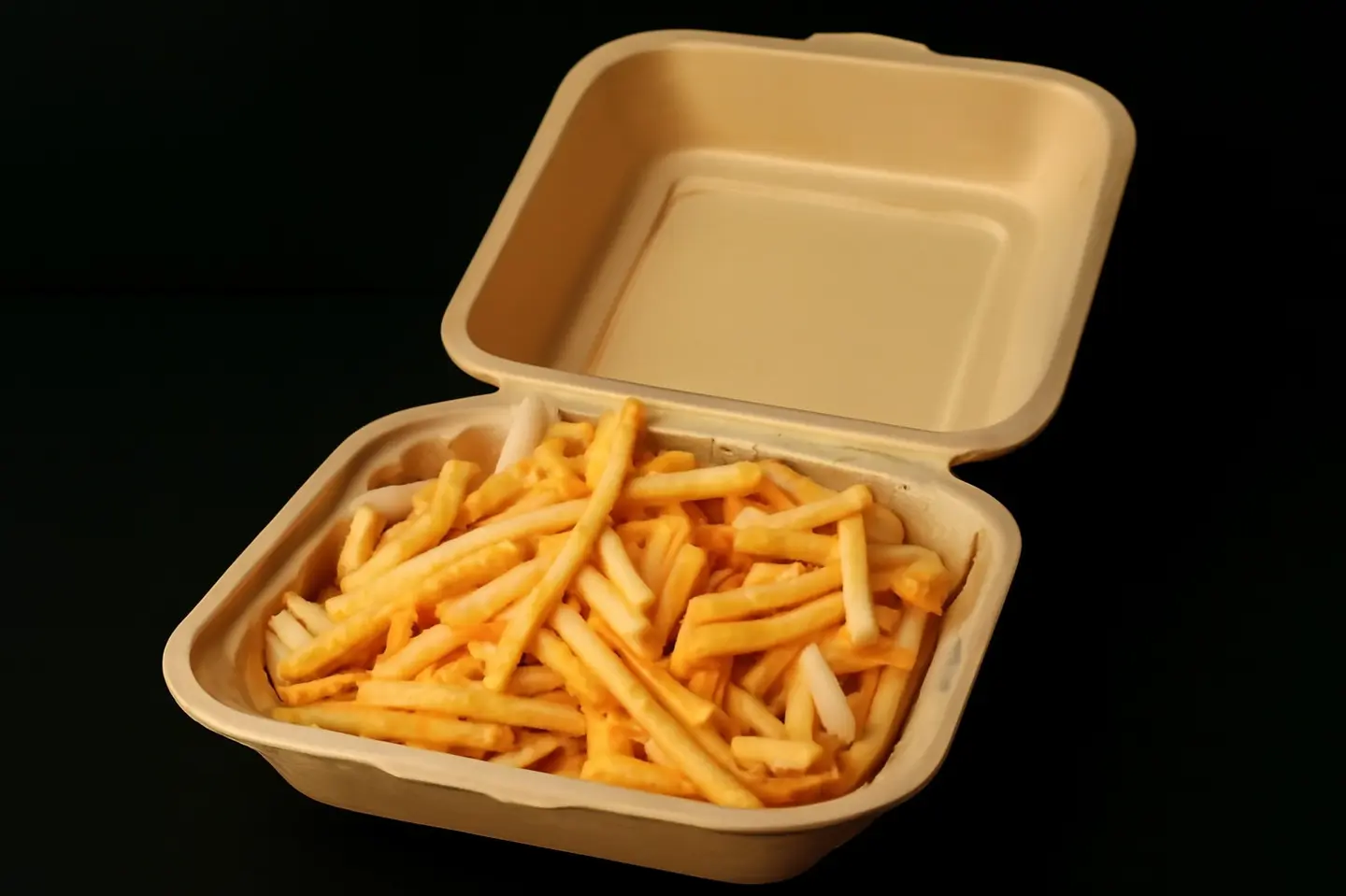 Fries Melt