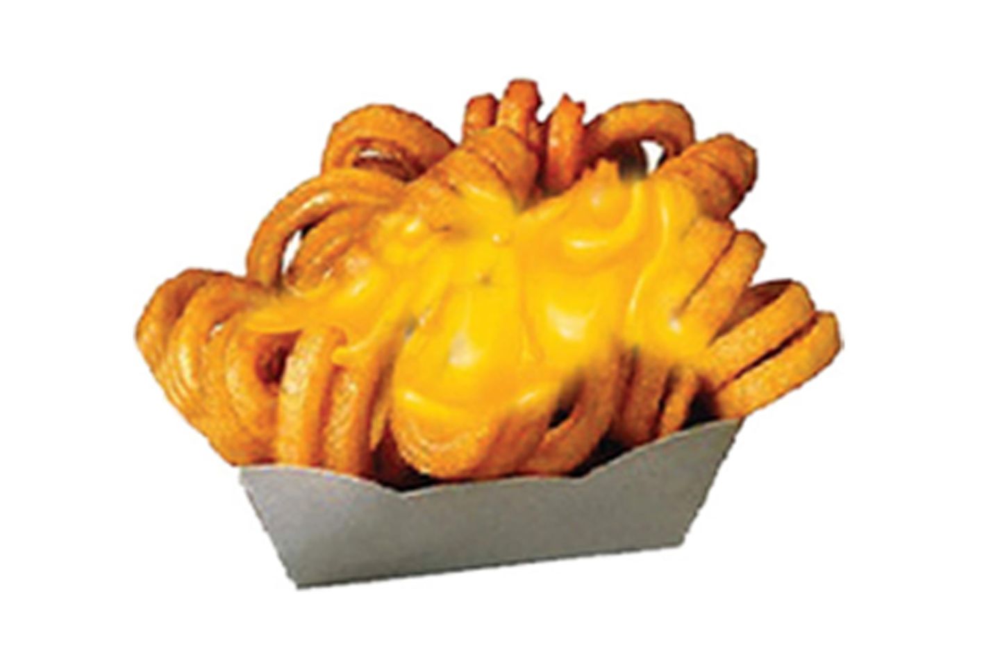 Crispy Cheese Fries
