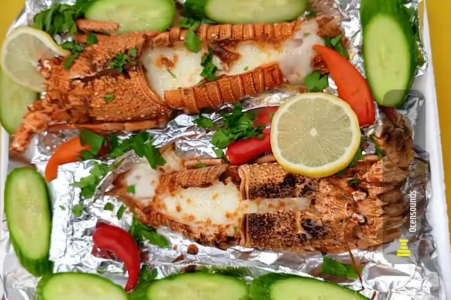 استاكوزا قطعتين