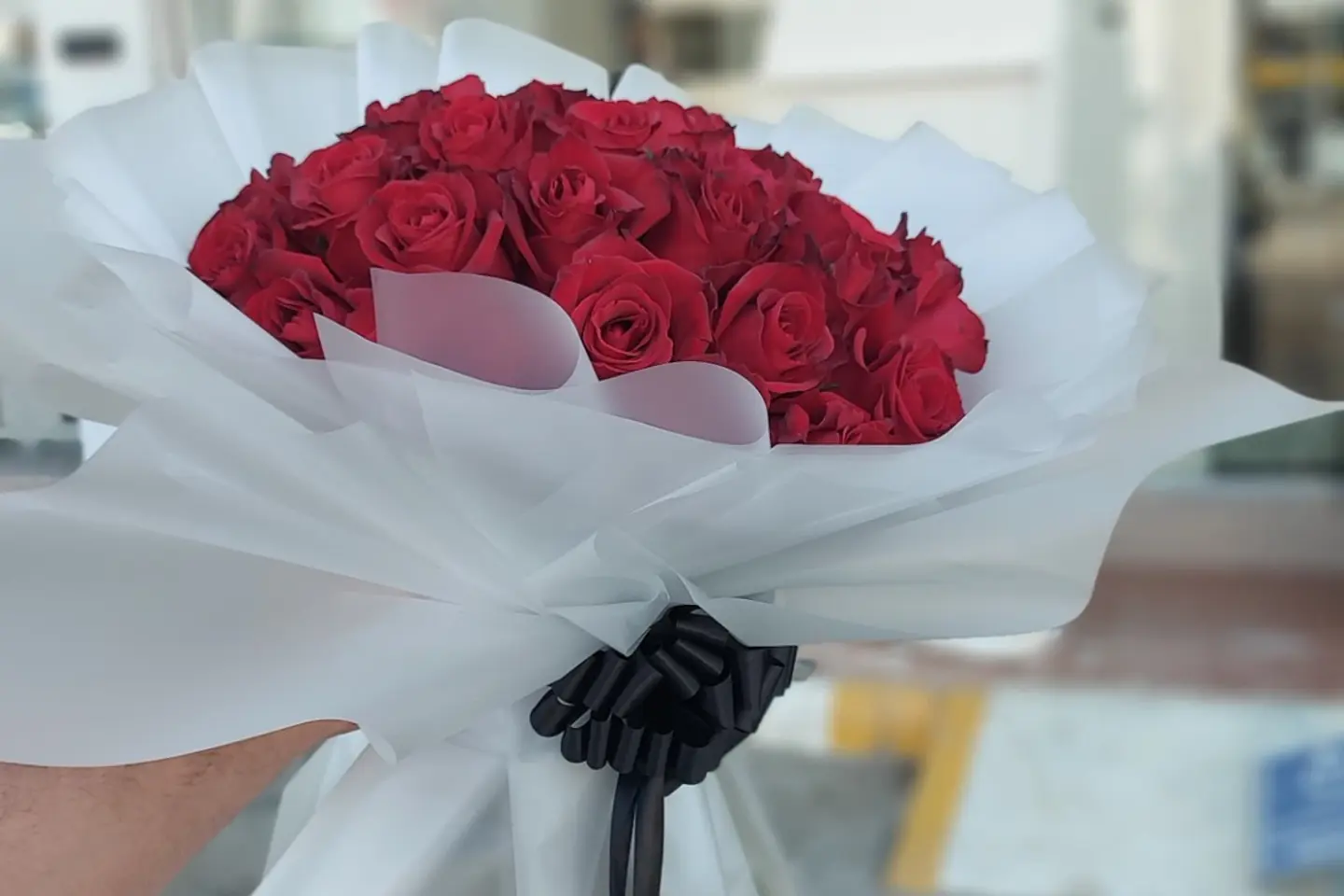 باقة روز عودي تغليف شفاف