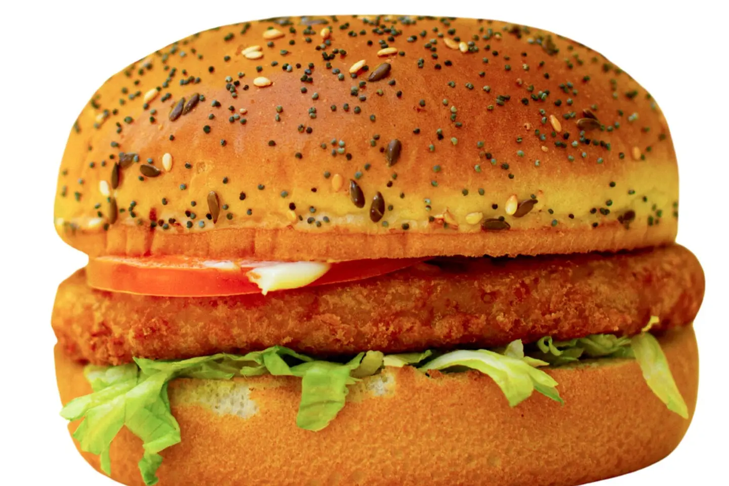 Chicken Fillet Burger Single