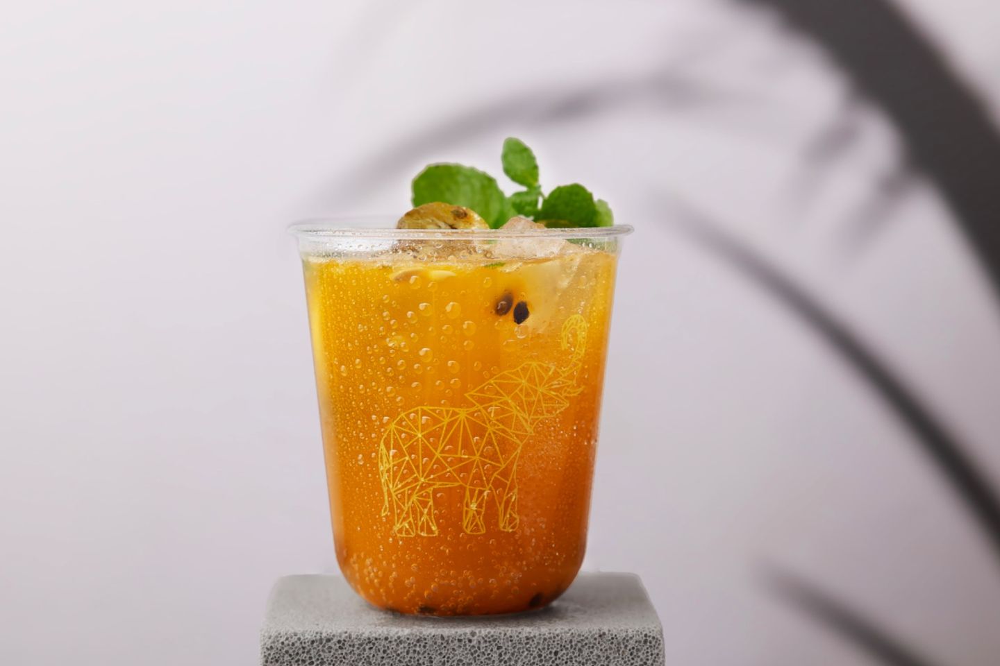Passion Fruit Mojito