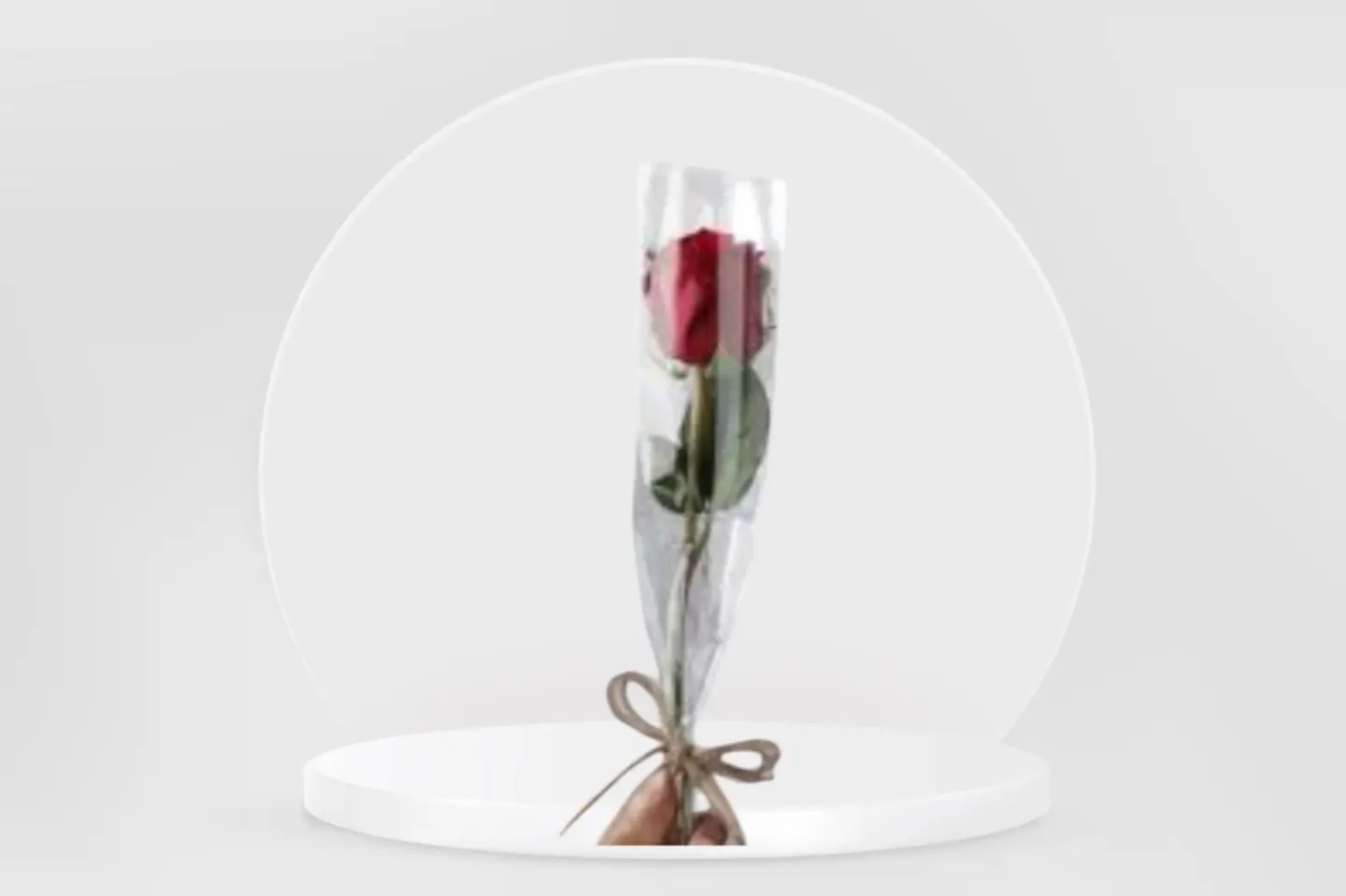Red Rose