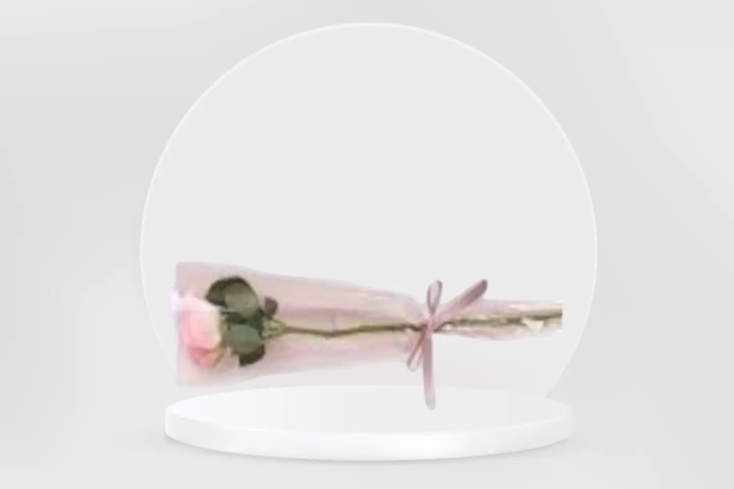 Pink Rose