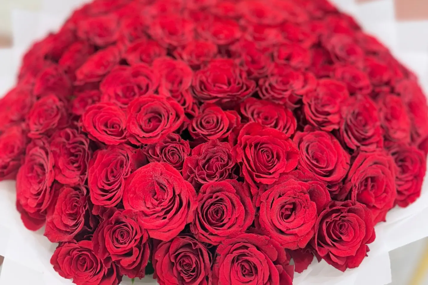 بويكه الحب ٩٩