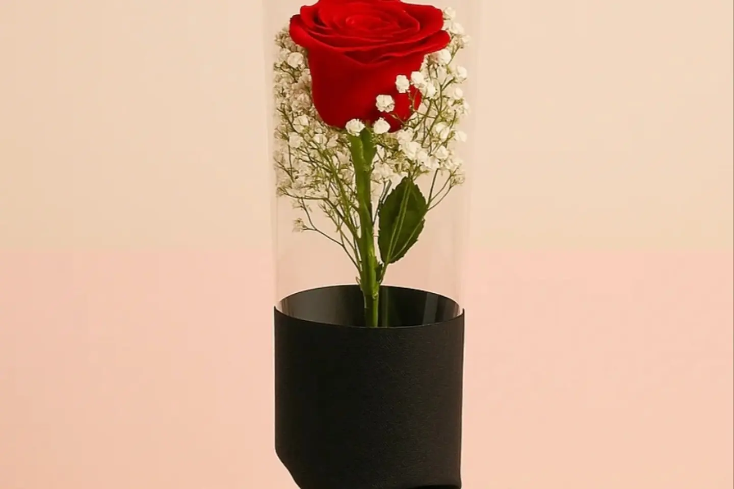 Red Rose Transparent Packaging