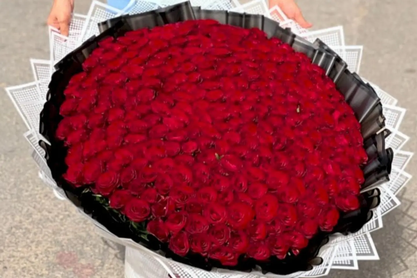 باقة في اي بي
