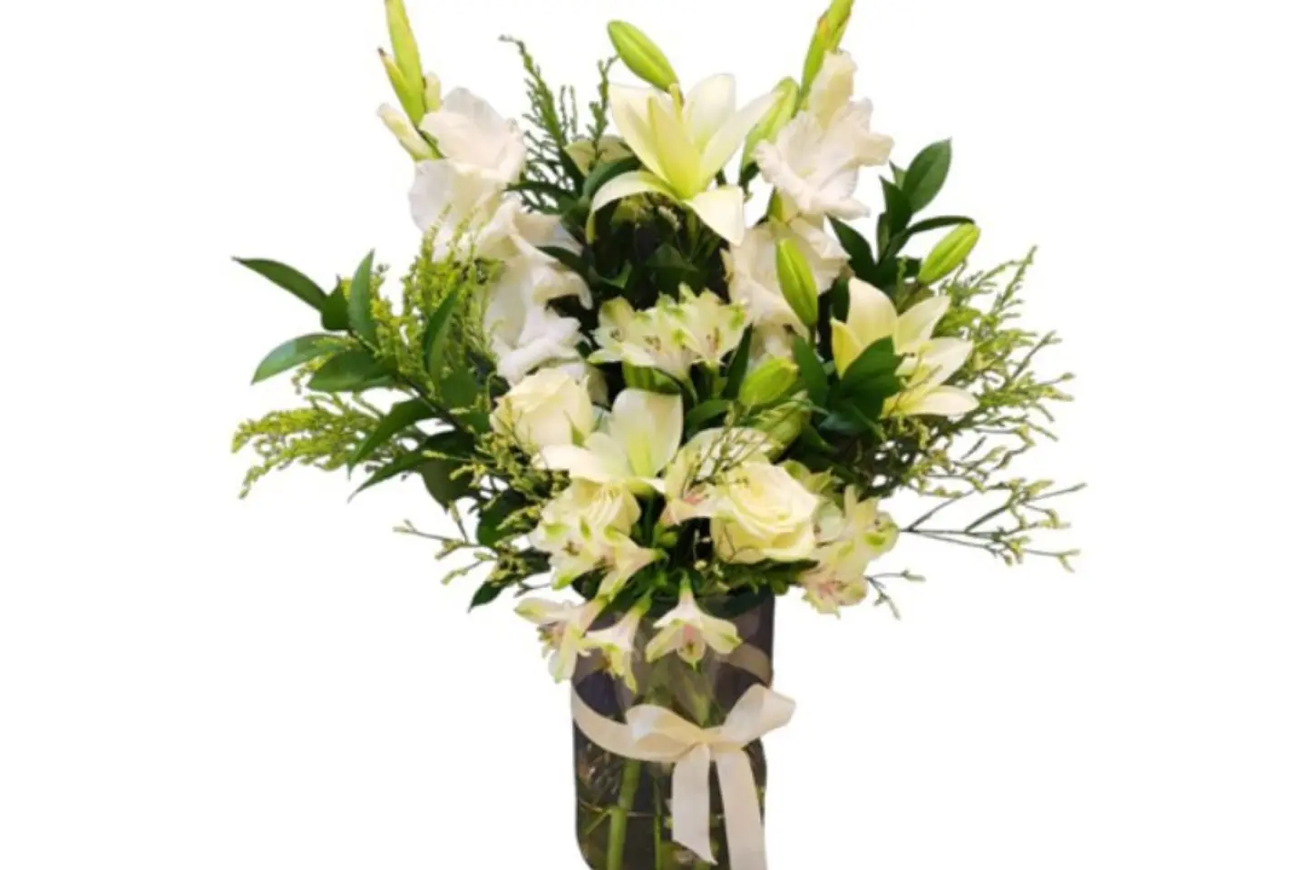 فازه البهجه والسرور