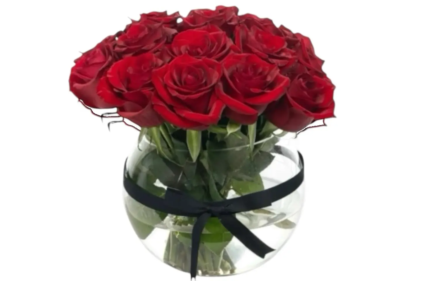 فازة الجوري الاحمر