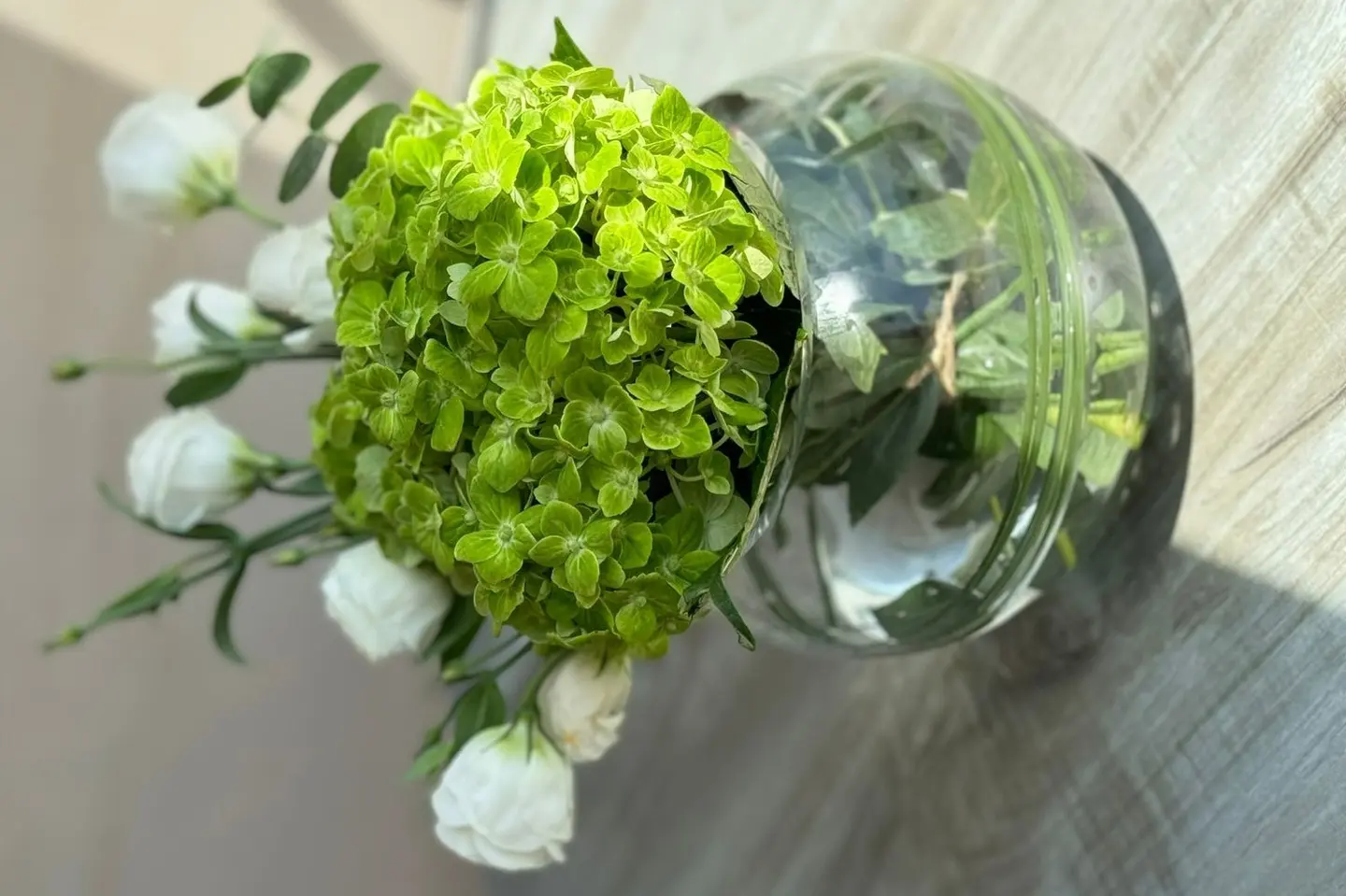 فازة الهيدرنجة