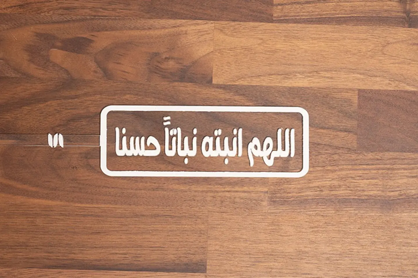 تغريسة اللهم أنبته نباتآ حسنا / صغيرأبيض