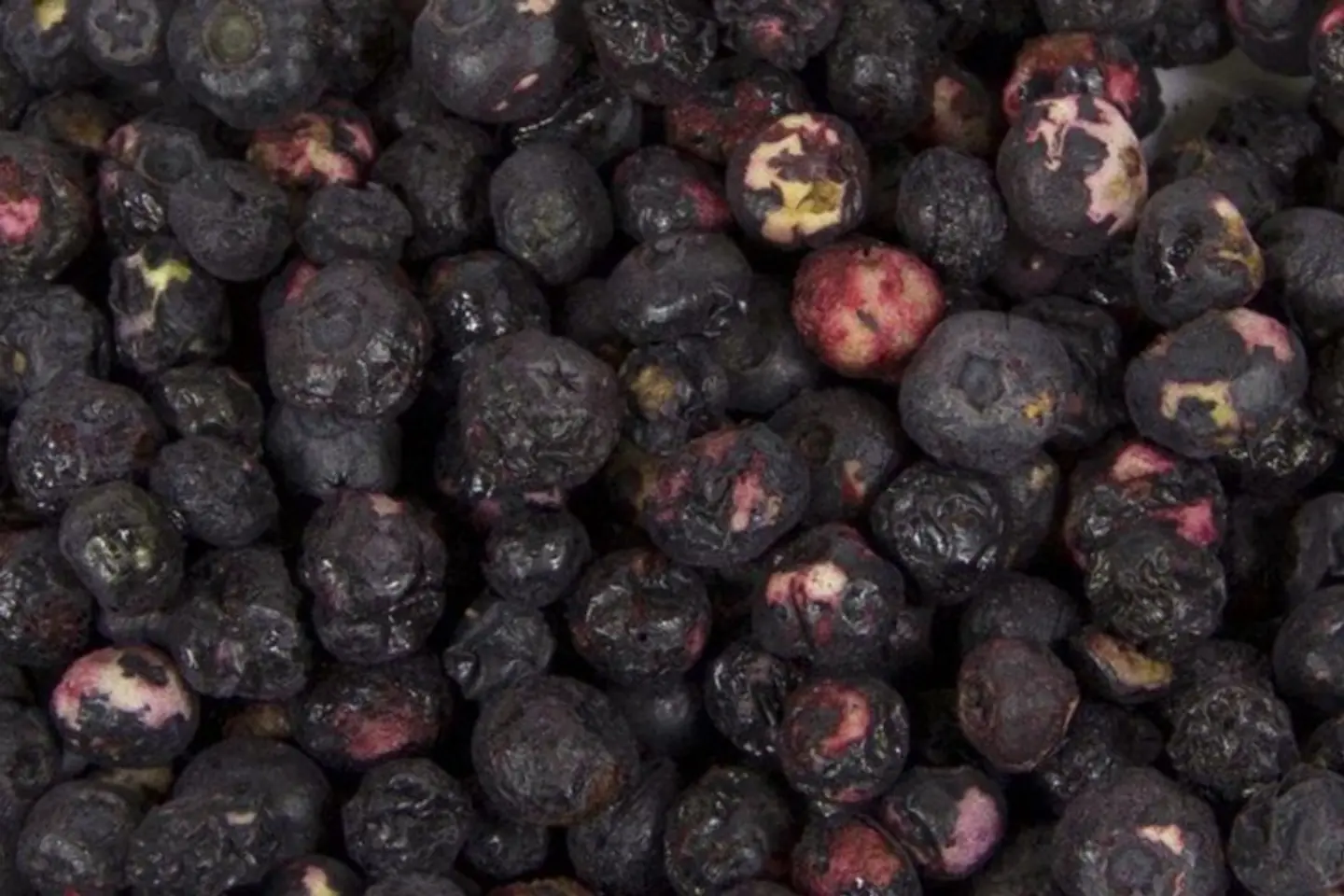 Freeze Dried Blueberries