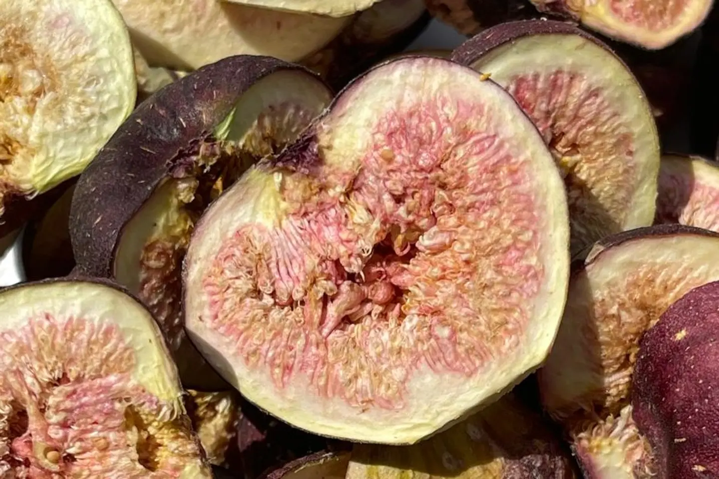 Freeze Dried Figs