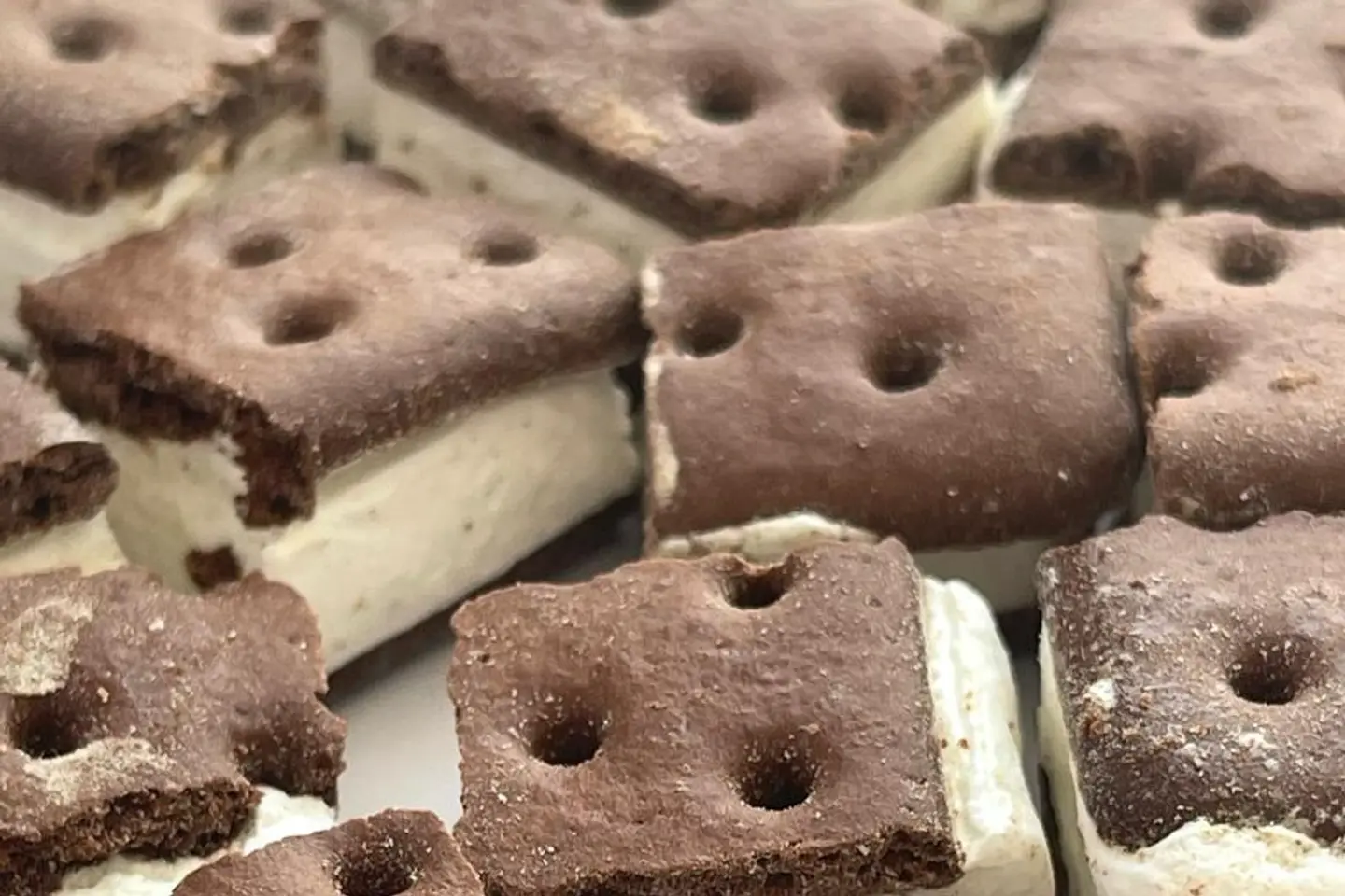 Freeze Dried Sandwich Ice Cream