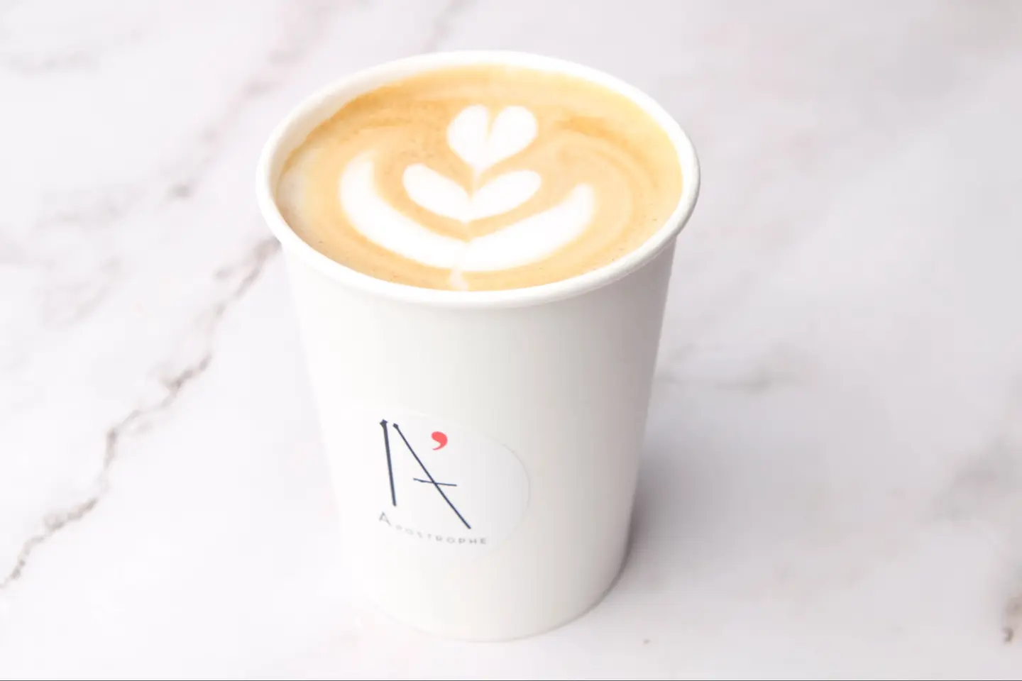 Cappuccino - Small