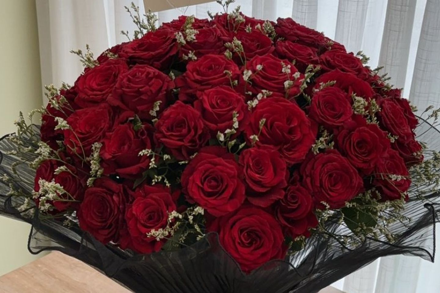 50 Red Rose