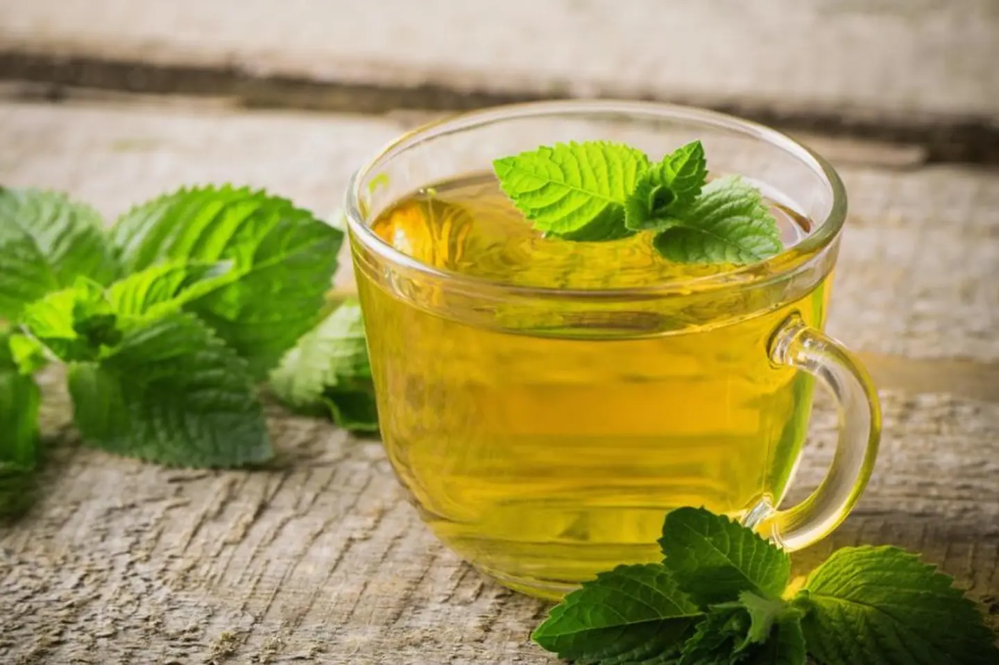 Pudina Tea