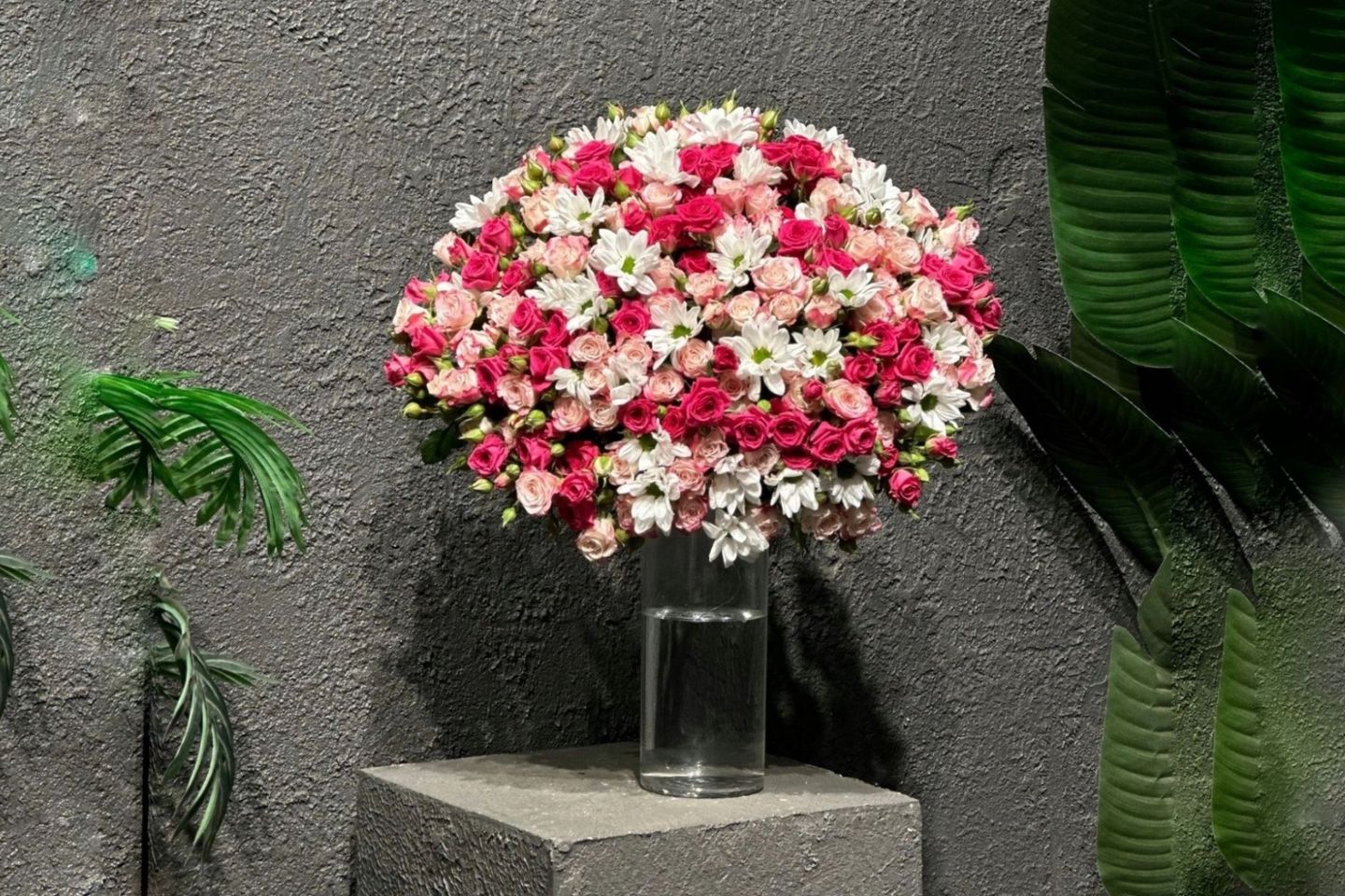فازة الزهره البيضاء