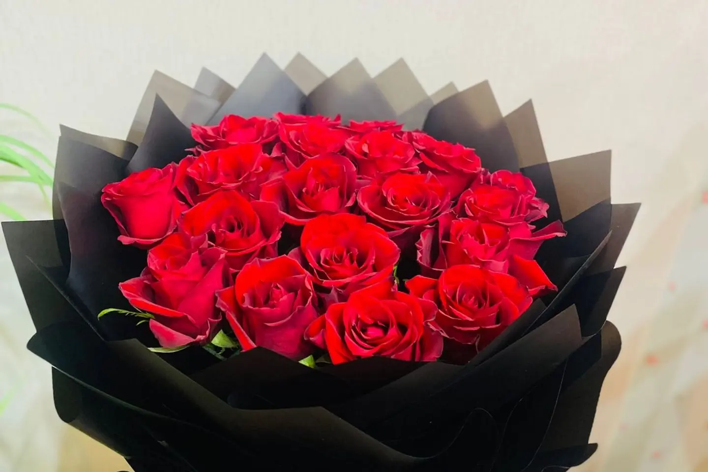 وردة حمراء بتغليف أسود