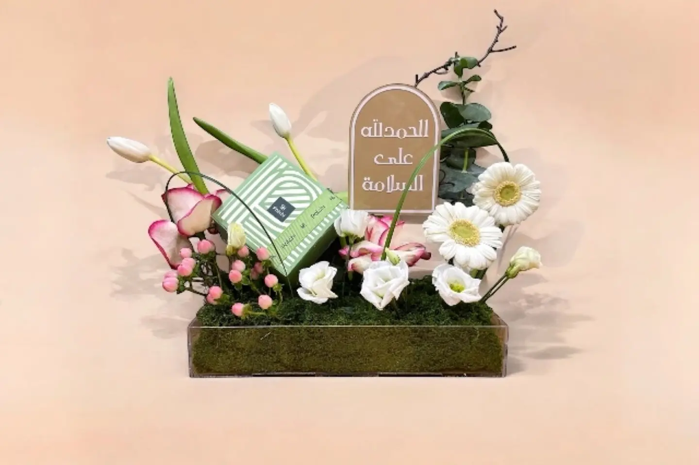 باتشي السلامه مميز