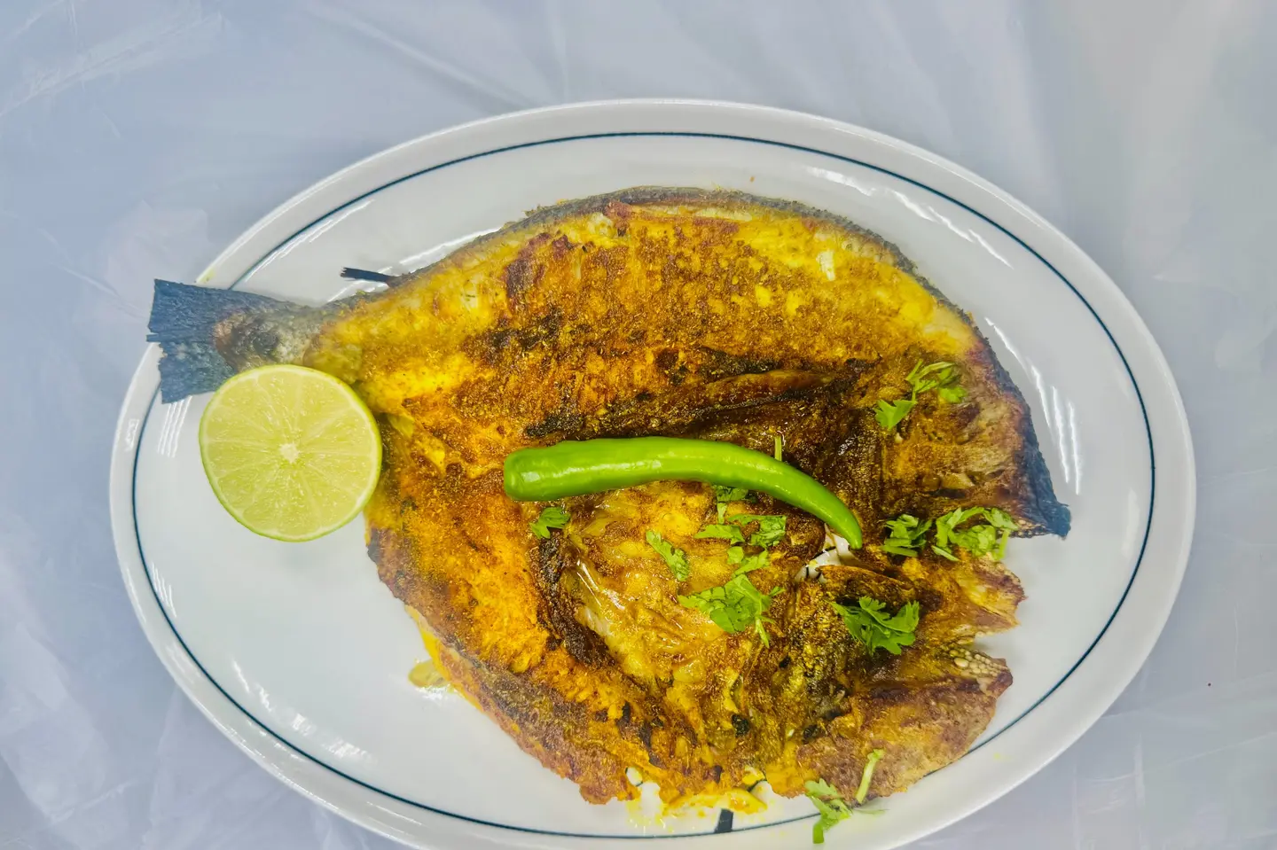 سمك الدنيس من ٦٠٠ إلى ٨٠٠ غرام