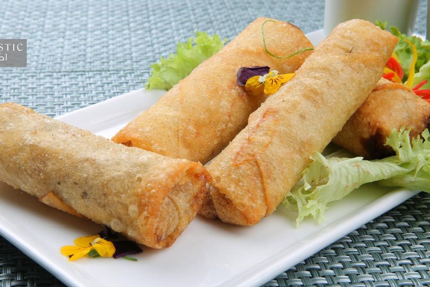 Vegetable Spring Roll