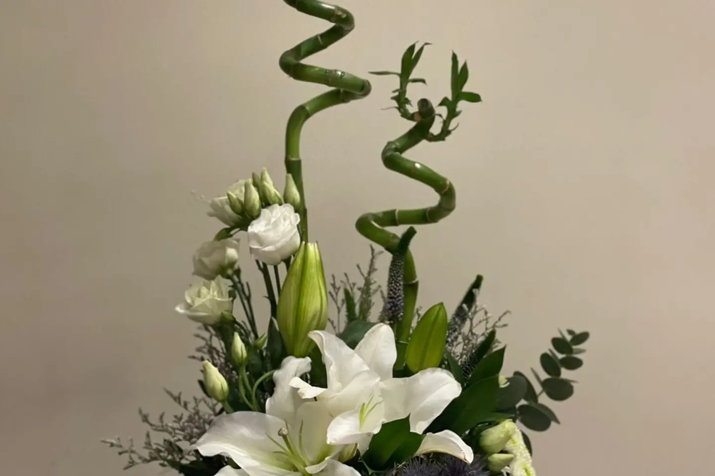 Bamboo Serenity
