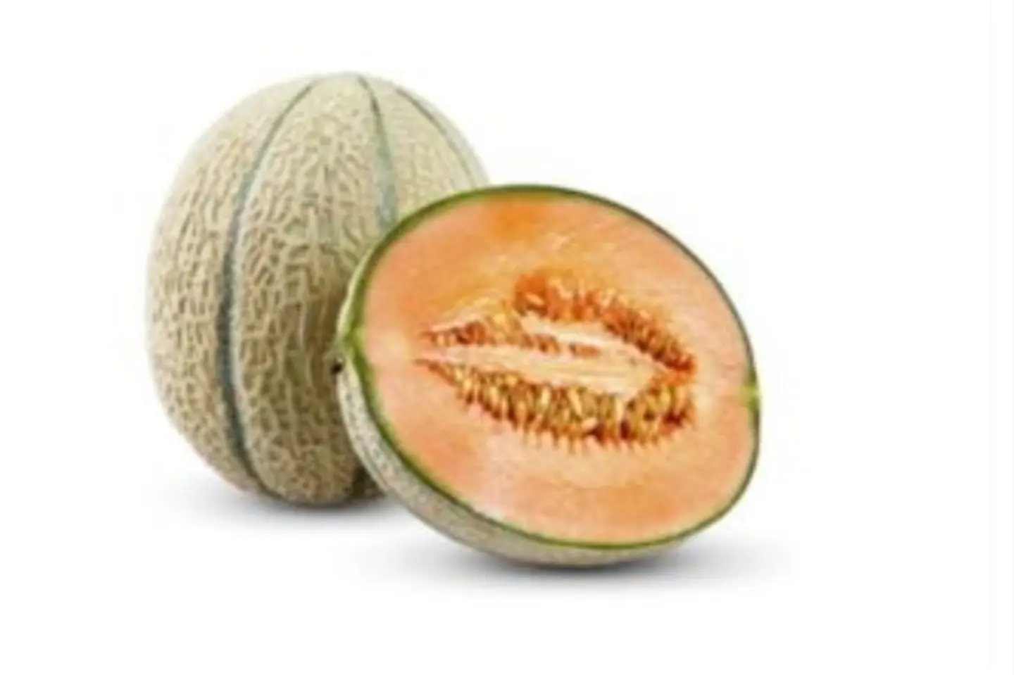 شمام ١ قطعة