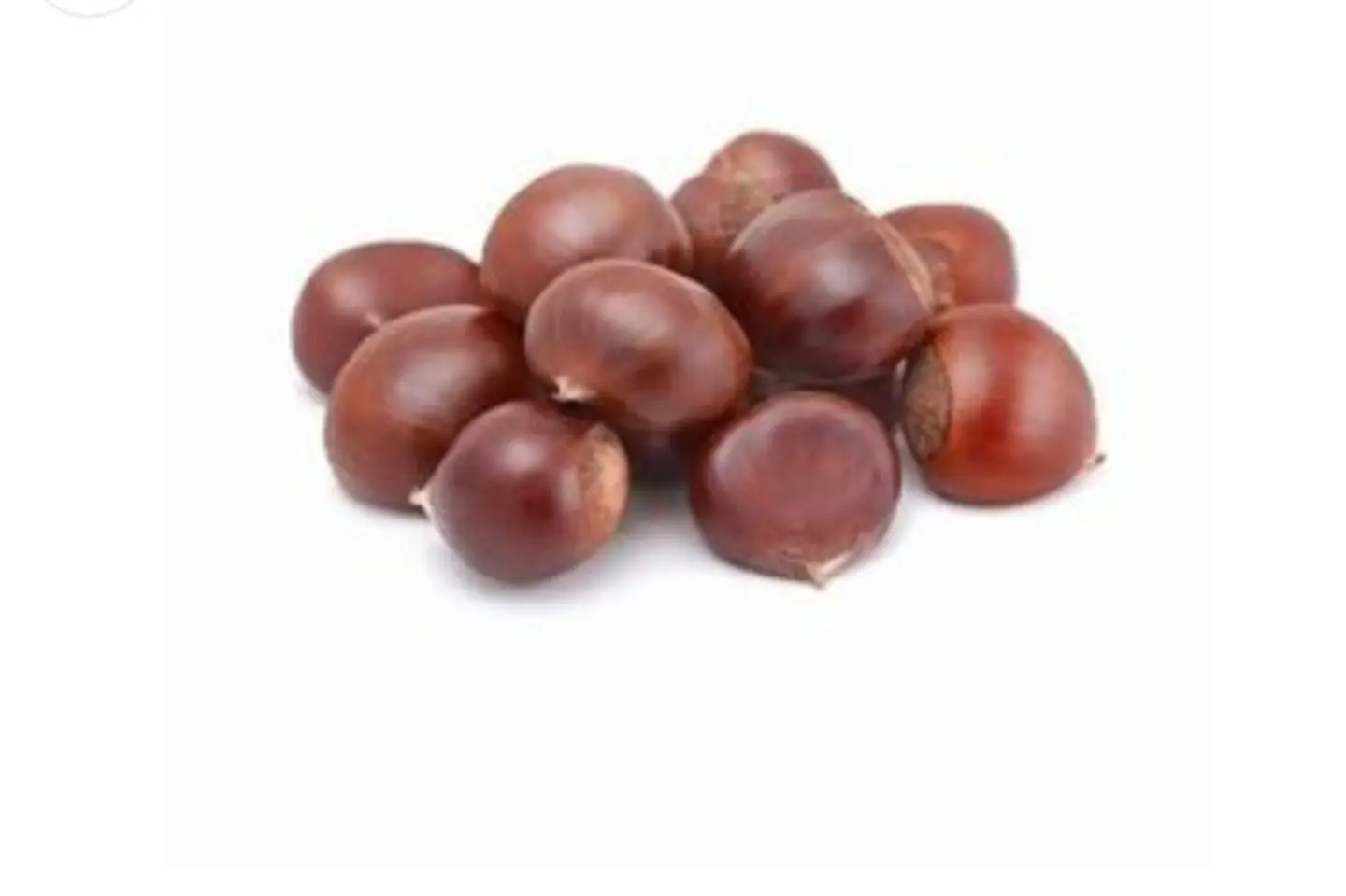 كستناء ٥٠٠ جرام - كستناء ٥٠٠ جرام