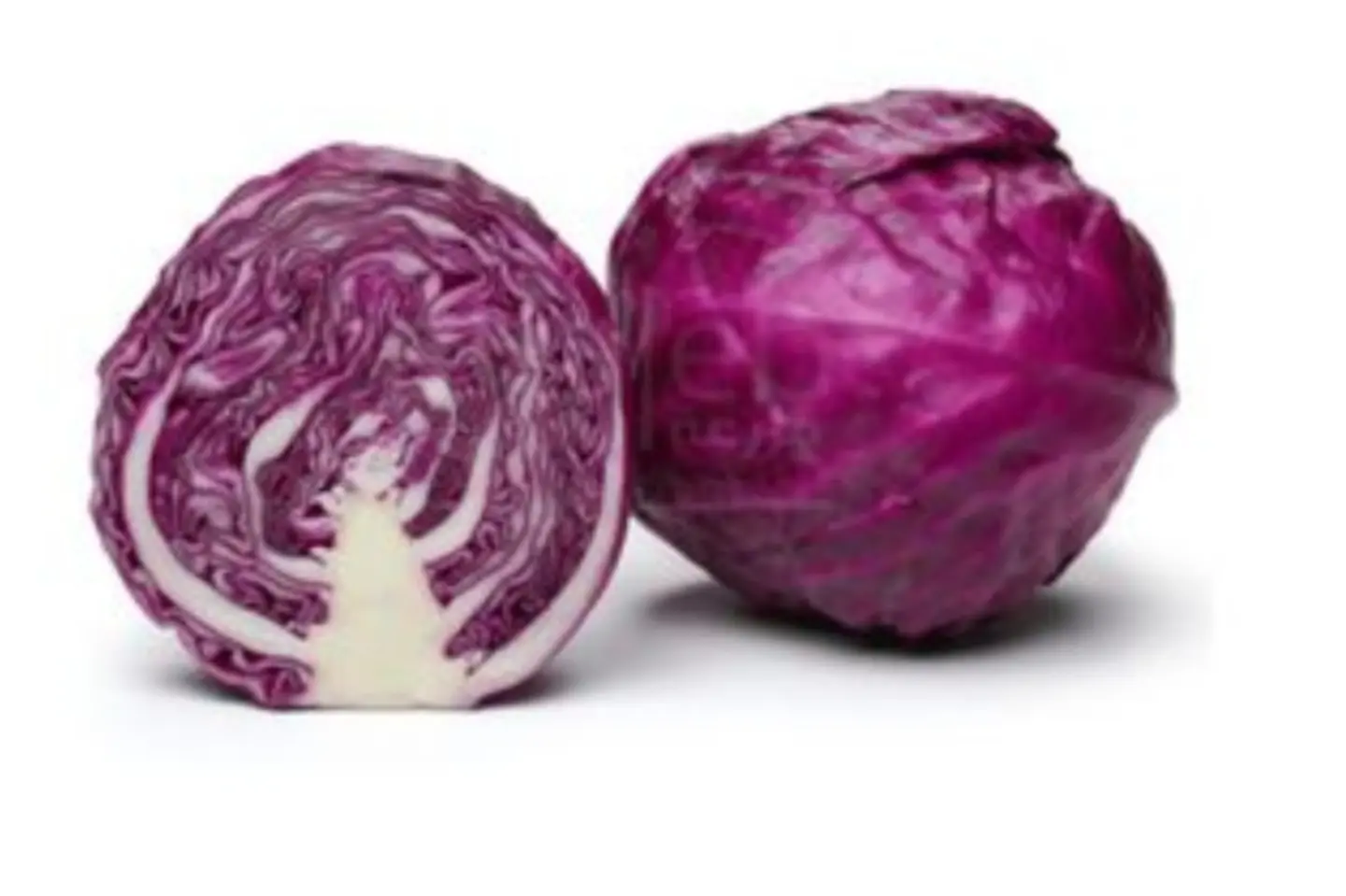 ملفوف أحمر حبه - ملفوف أحمر حبه