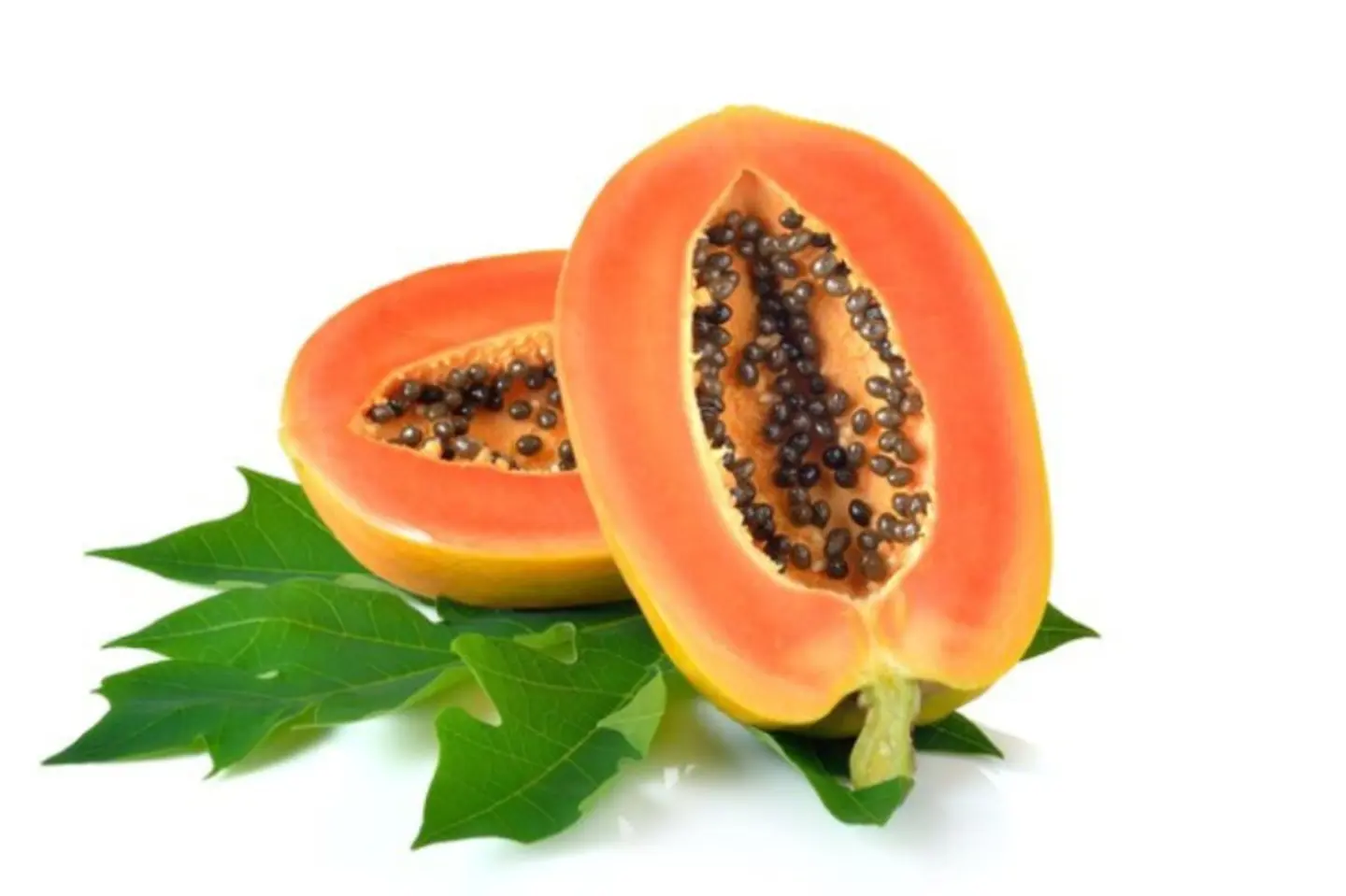 البابايا ١ قطعة