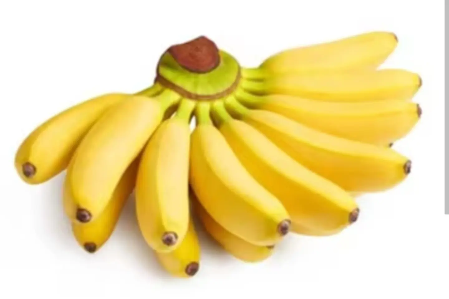 ١صندوق الخوخ الطازج - صندوق الخوخ الطازج