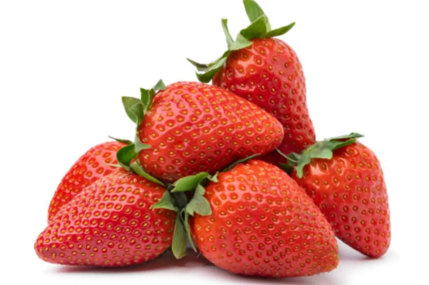 الفراولة الأفريقية ٢٥٠ - كرفس ١ قطعة