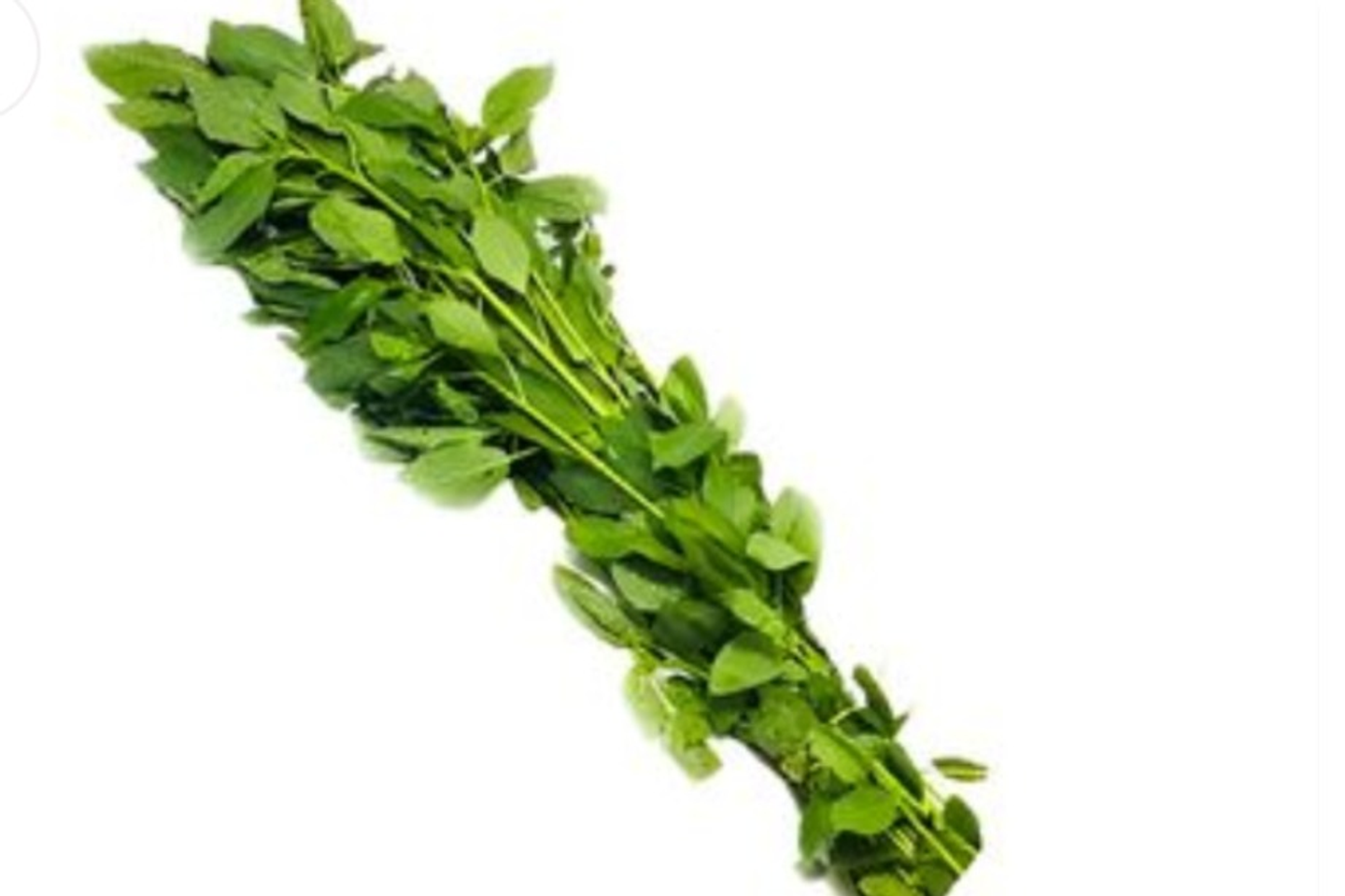 باقة ملوخية ١