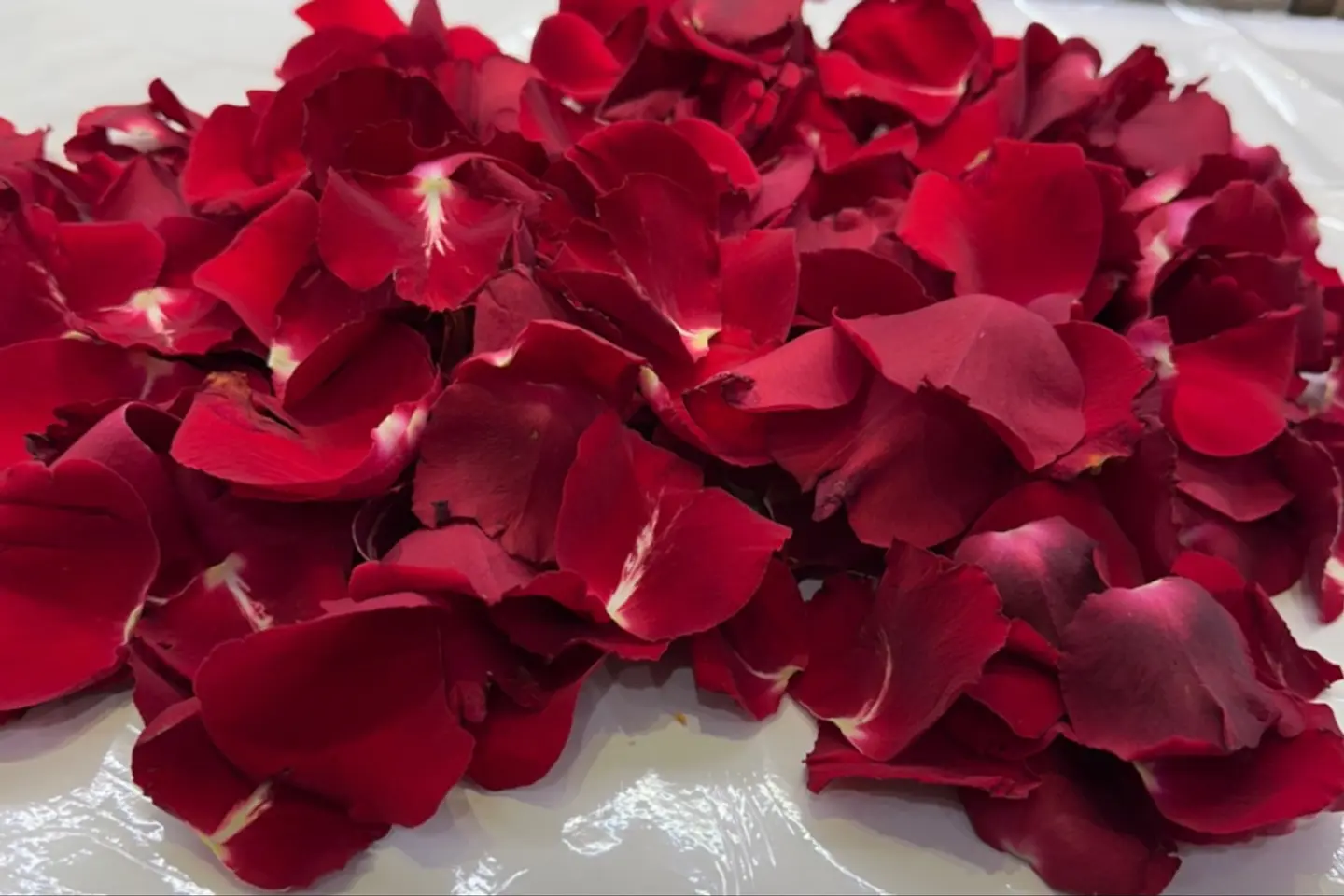 ورد منثور احمر