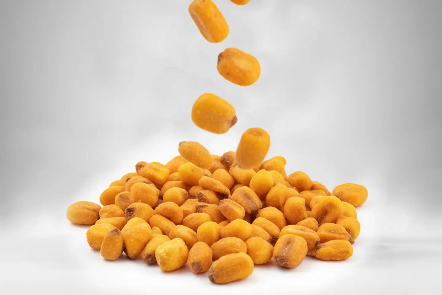 Corn Roasted Salted /