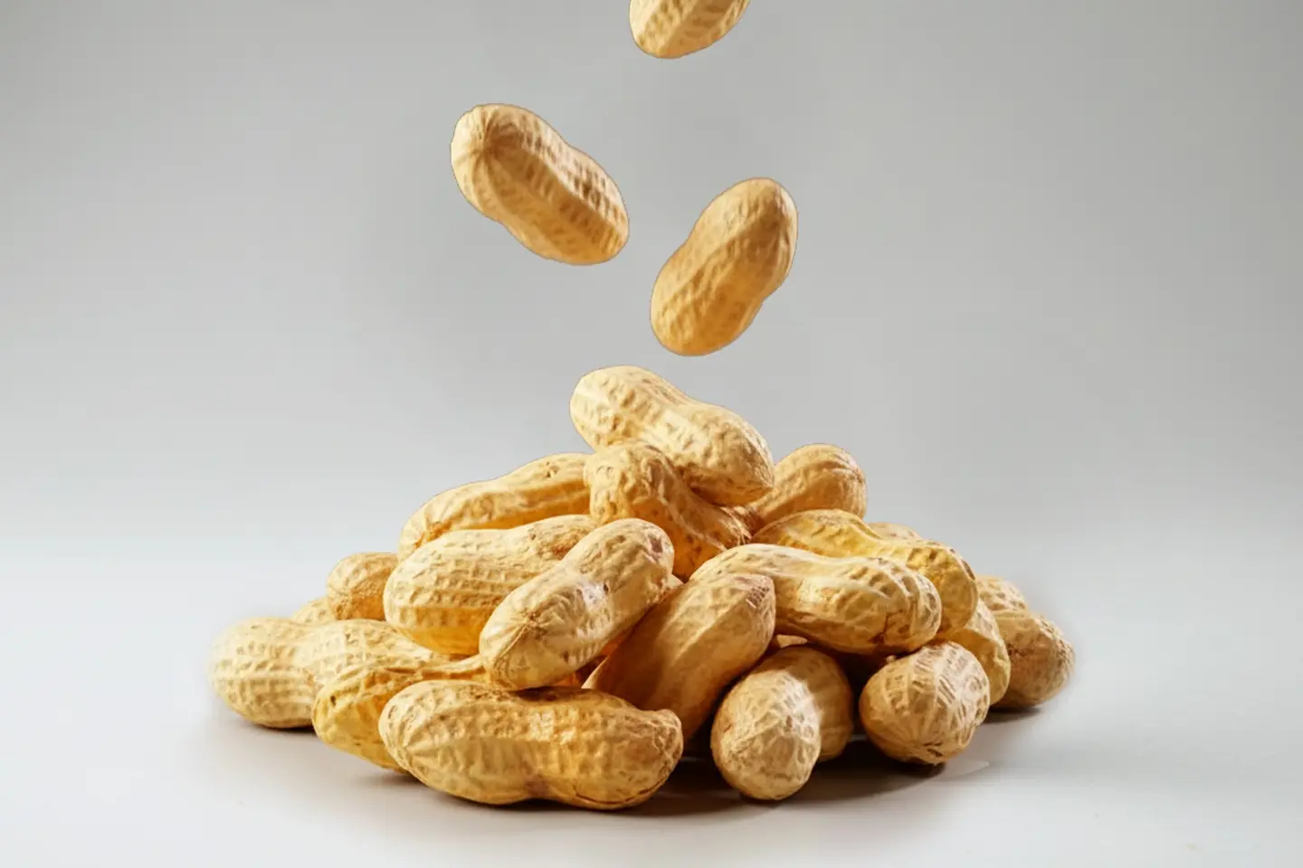 شبكة الفول السوداني