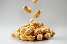 شبكة الفول السوداني