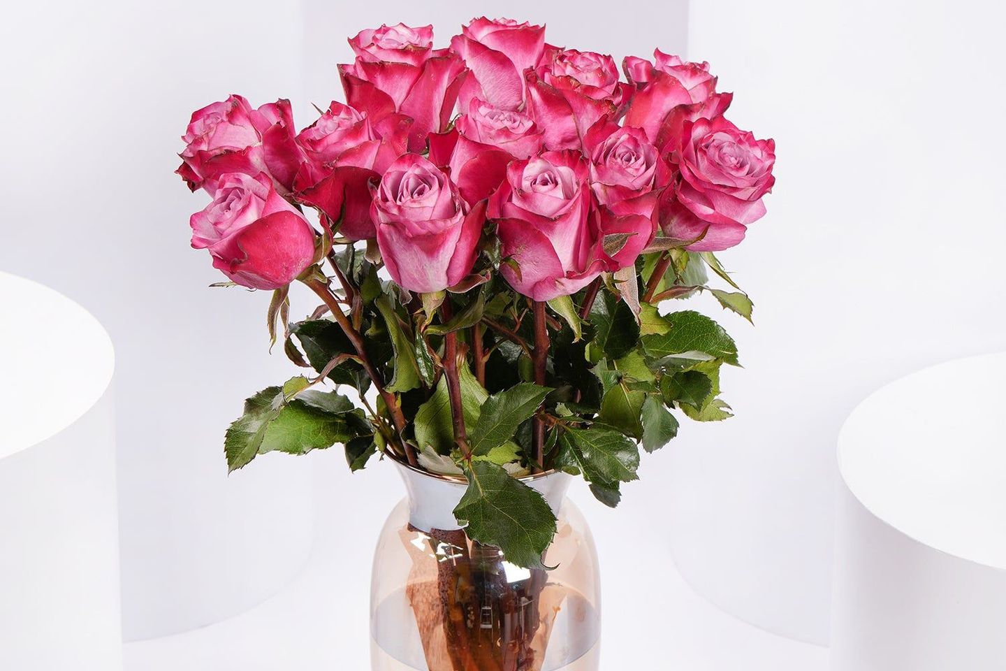 فازه ١