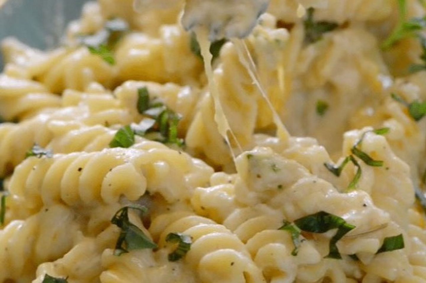 Fusilli Pasta White Sauce